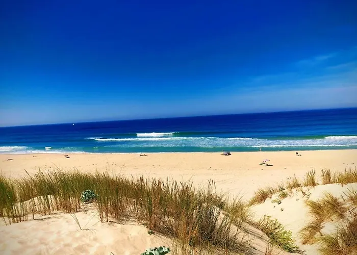 L'ocean&dunes Vue A 180° En Bord De Lejlighed