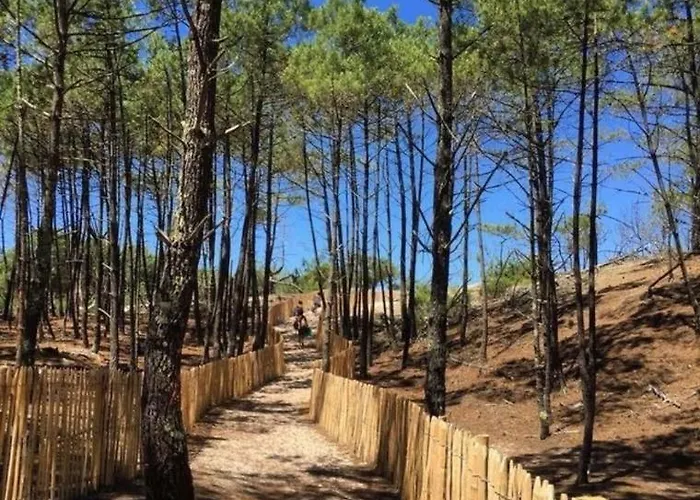 L'ocean&dunes Vue A 180° En Bord De Lejlighed