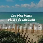 L'ocean&dunes Vue A 180° En Bord De Apartament *