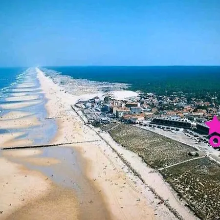 Appartement L'ocean&dunes Vue A 180° En Bord De