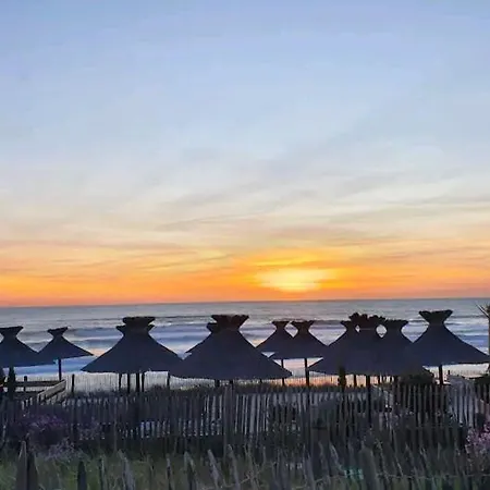 L'océan&dunes Vue à 180° En Bord De Apartamento *