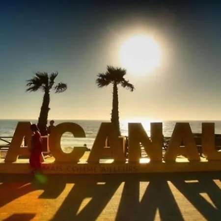 Appartamento L'océan&dunes Vue à 180° En Bord De Lacanau