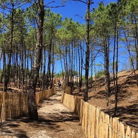 L'océan&dunes Vue à 180° En Bord De Appartamento