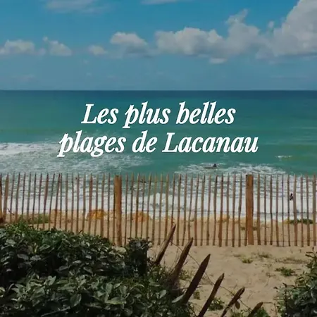 L'océan&dunes Vue à 180° En Bord De Appartamento *