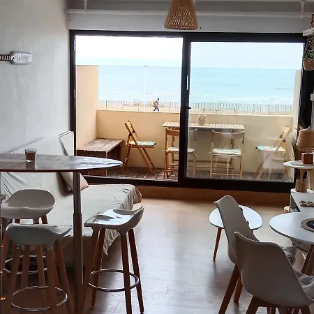 L'ocean&dunes Vue A 180° En Bord De *