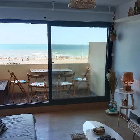 L'ocean&dunes Vue A 180° En Bord De *