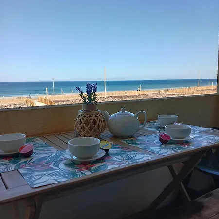 L'ocean&dunes Vue A 180° En Bord De 아파트 *