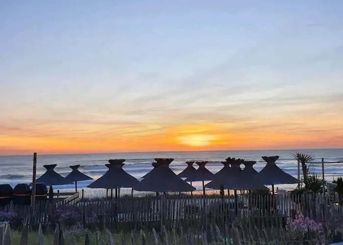 L'ocean&dunes Vue A 180° En Bord De Lejlighed *