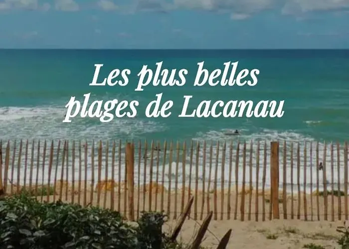 L'ocean&dunes Vue A 180° En Bord De Lejlighed *