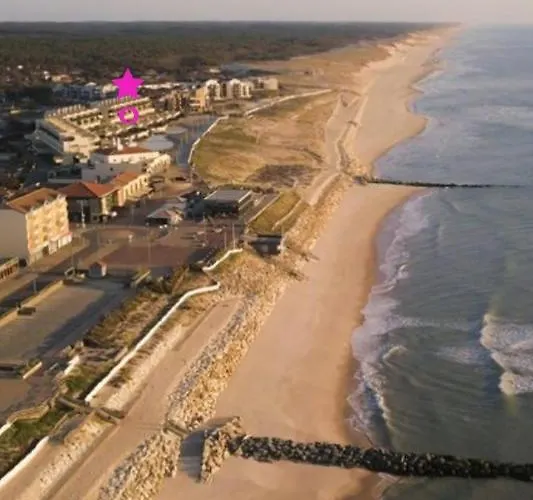 L'ocean&dunes Vue A 180° En Bord De *