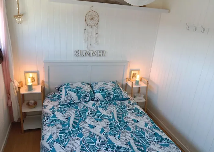 Lejlighed L'ocean&dunes Vue A 180° En Bord De Lacanau