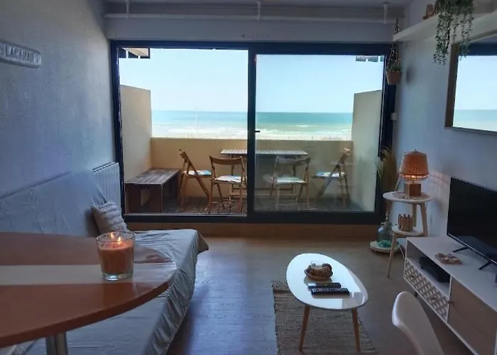 L'ocean&dunes Vue A 180° En Bord De